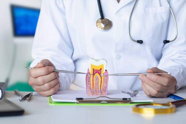 Best Emergency Tooth Extraction  in Logan, OH